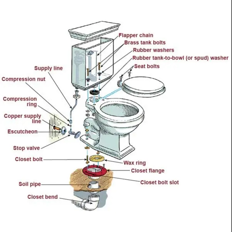 Why Your Toilet Won't Flush: Emergency DIY Repair Guide & Water Damage Prevention